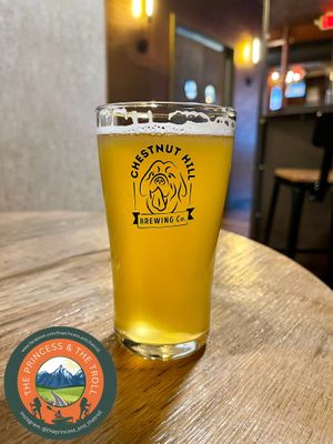 Sunny Days Pilsner  at Chestnut Hill Brewing Company in Philadelphia