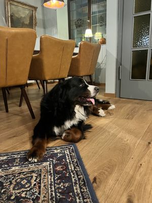   at Köhlerstüble in Stuttgart