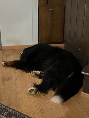   at Köhlerstüble in Stuttgart