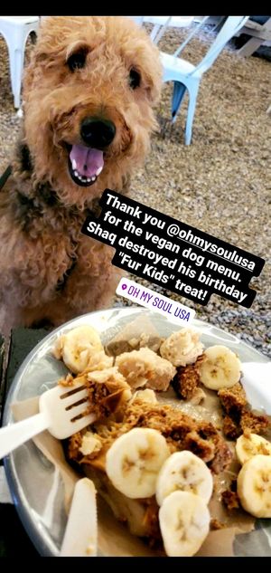 Fur Kids Treat! He loved it! at Oh My Soul in Charlotte