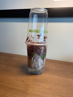 This is how they decided to package a mini cake to go. The cups are not secured together. 😂  at Oh My Soul in Charlotte