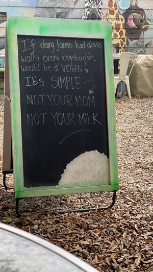 Love the messages at Oh My Soul in Charlotte