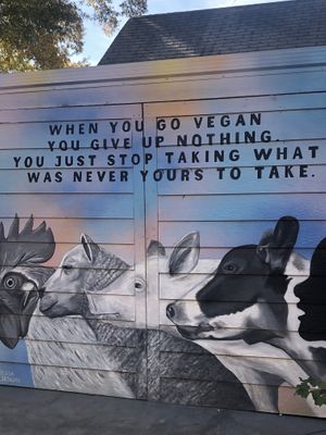 Outside at Oh My Soul in Charlotte