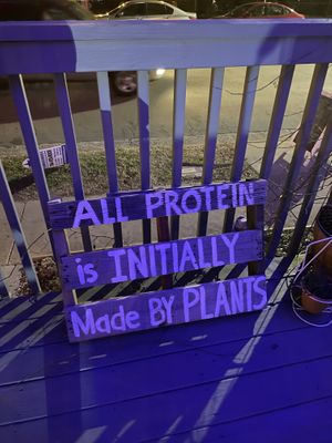 Decor  at Oh My Soul in Charlotte