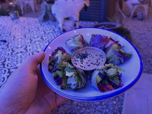 Rolls  at Oh My Soul in Charlotte