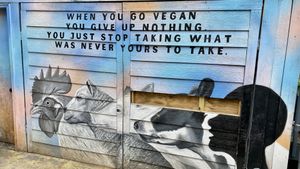   at Oh My Soul in Charlotte