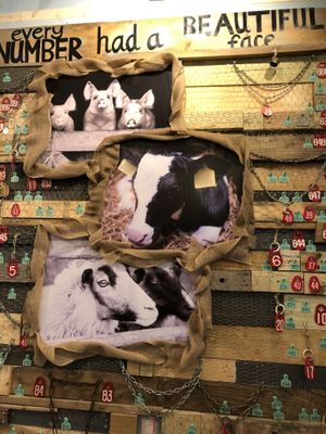 Beautiful tribute to animals  at Oh My Soul in Charlotte