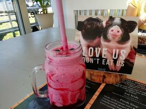 Shake  at Oh My Soul in Charlotte