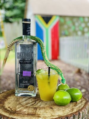 Green Mamba  at Oh My Soul in Charlotte