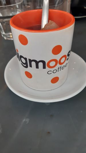 huge mugs at bigmoose coffee co in Cardiff