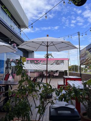 Nice outdoor space  at Herbivoro in Cancun