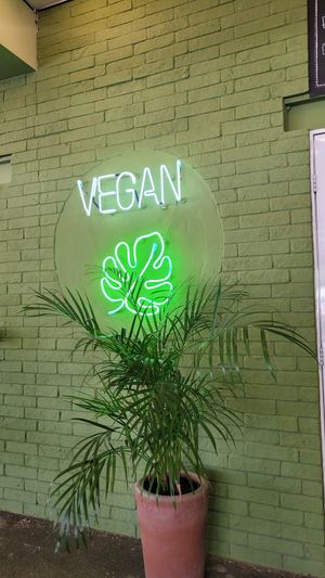  at Herbivoro in Cancun