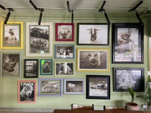 ❤️ at Herbivoro in Cancun