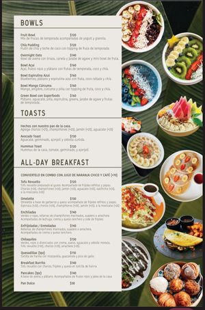  at Herbivoro in Cancun