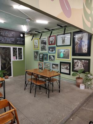  at Herbivoro in Cancun