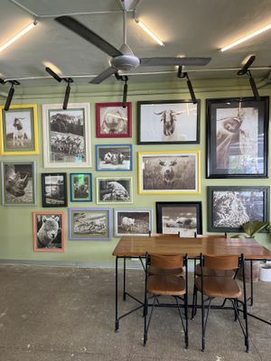   at Herbivoro in Cancun