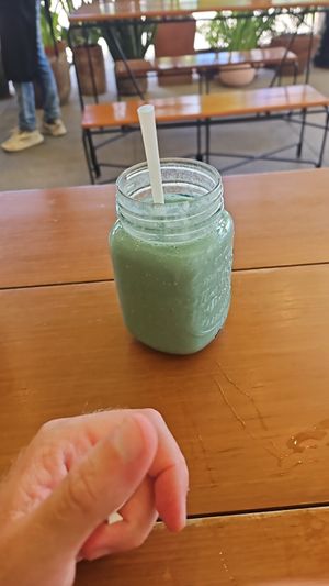  at Herbivoro in Cancun