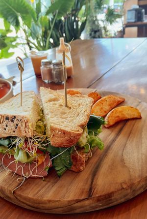  at Herbivoro in Cancun