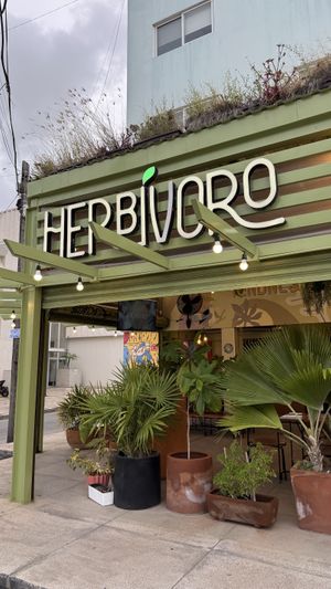 Herbívoro  at Herbivoro in Cancun