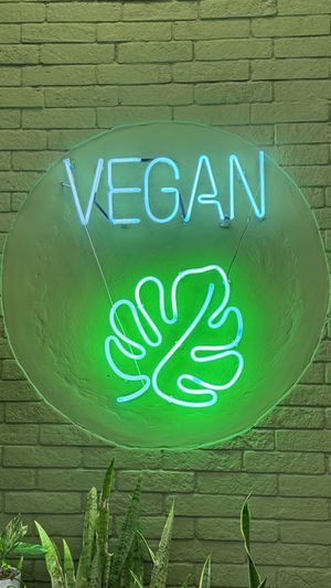 Vegan  at Herbivoro in Cancun