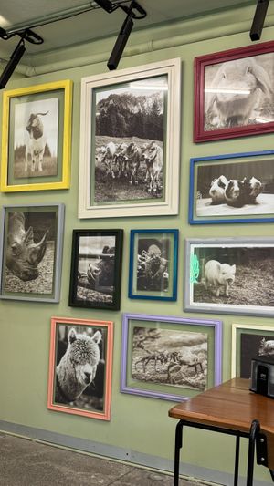 Adentro  at Herbivoro in Cancun