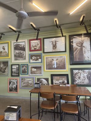   at Herbivoro in Cancun