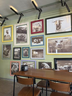   at Herbivoro in Cancun