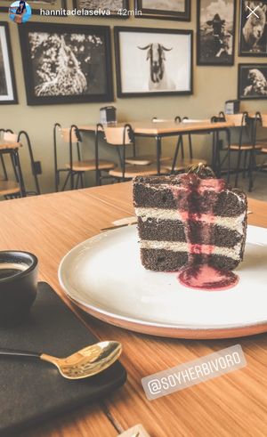 Chocolate Cake at Herbivoro in Cancun