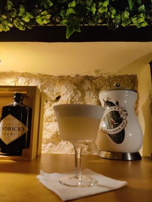 Great White Lady Cocktail. Foam is perfect at The Botanical Den in Lisbon
