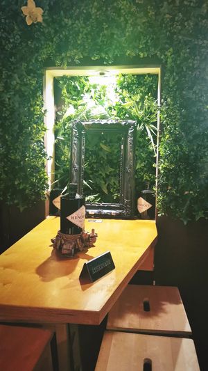 Table at The Botanical Den in Lisbon