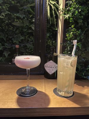 Stawberries and cream Martini and Jameson Ginger and Lime 🤩   at The Botanical Den in Lisbon