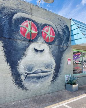   at Lettuce Cook in Fort Worth