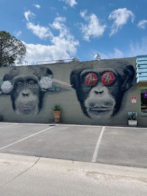   at Lettuce Cook in Fort Worth