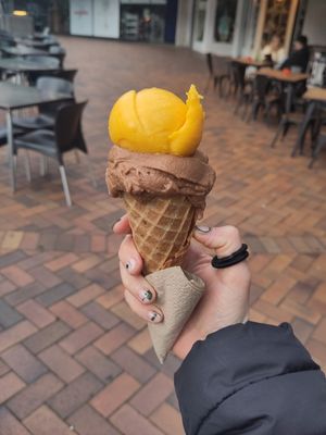  at Gelato Junkie in Dunedin