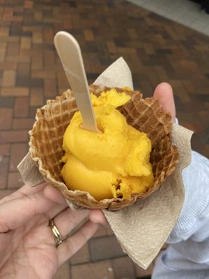  #Veganuary at Gelato Junkie in Dunedin