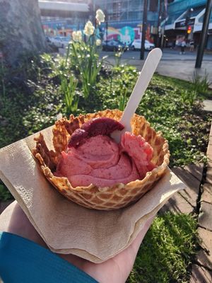 Waimate Strawberry at Gelato Junkie in Dunedin