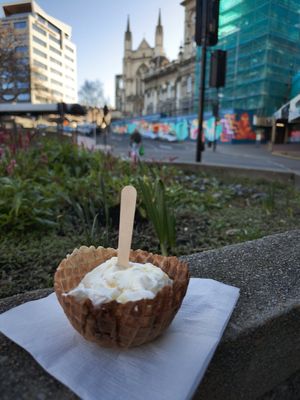 Lemon Meringue at Gelato Junkie in Dunedin