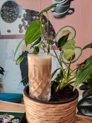 Cold Cappuccino on oat drink at Storm in a Coffee Pot in Munich