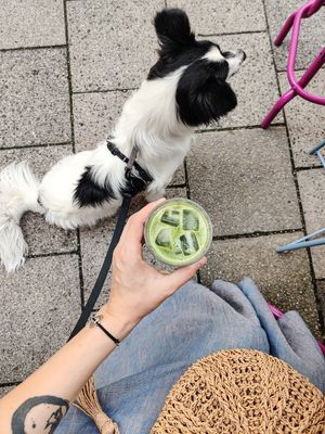 Cold matcha latte with oat drink at Storm in a Coffee Pot in Munich