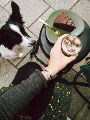 Chocolate cake and filter tonic at Storm in a Coffee Pot in Munich