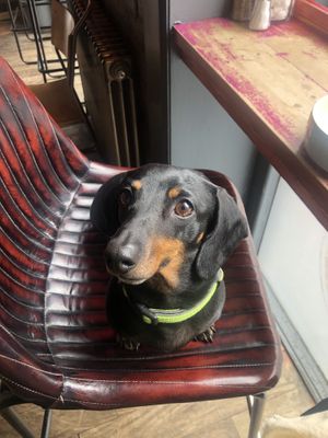   at Ezra & Gil in Manchester