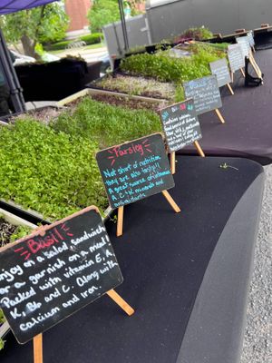 microgreens at The Original Bardstown Road Farmers' Market in Louisville