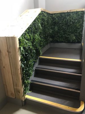 Wall foliage at Academy Espresso Bar in Barry