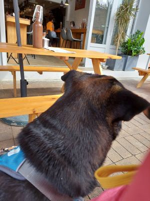 Take my pup visiting here at 2084 in Kowloon