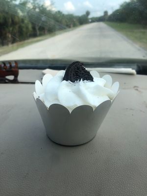 Vegan and gluten free cookies and cream cupcake  at Mmmm Delicious Cupcakes in New Port Richey