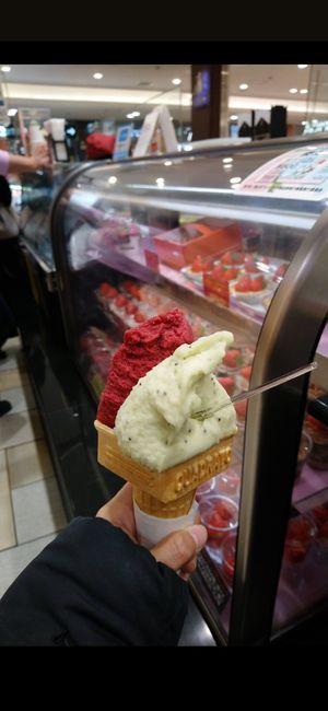 the vegan icecream at Hana Ichigo in Okayama