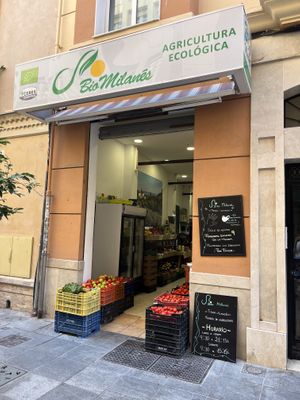 Outside at La Vegana Taperia in Malaga