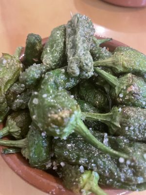   at La Vegana Taperia in Malaga