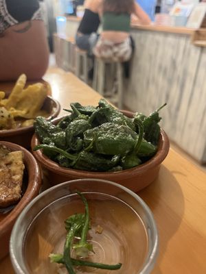   at La Vegana Taperia in Malaga
