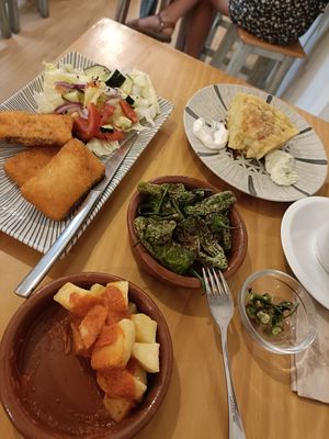 Vegan fish, tortilla, pimientos de padron & patatas bravas! at La Vegana Taperia in Malaga